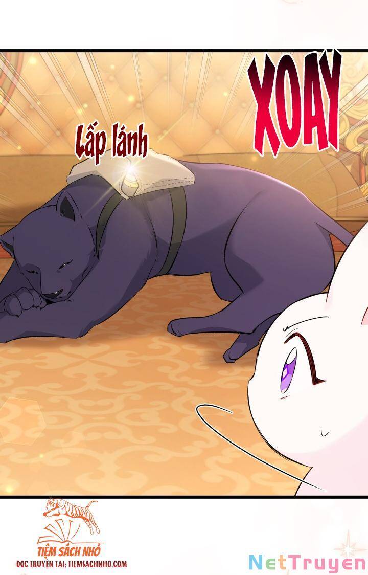 Mối Quan Hệ Cộng Sinh Giữa Báo Đen Và Thỏ Trắng - Chap 63 - Trang 40