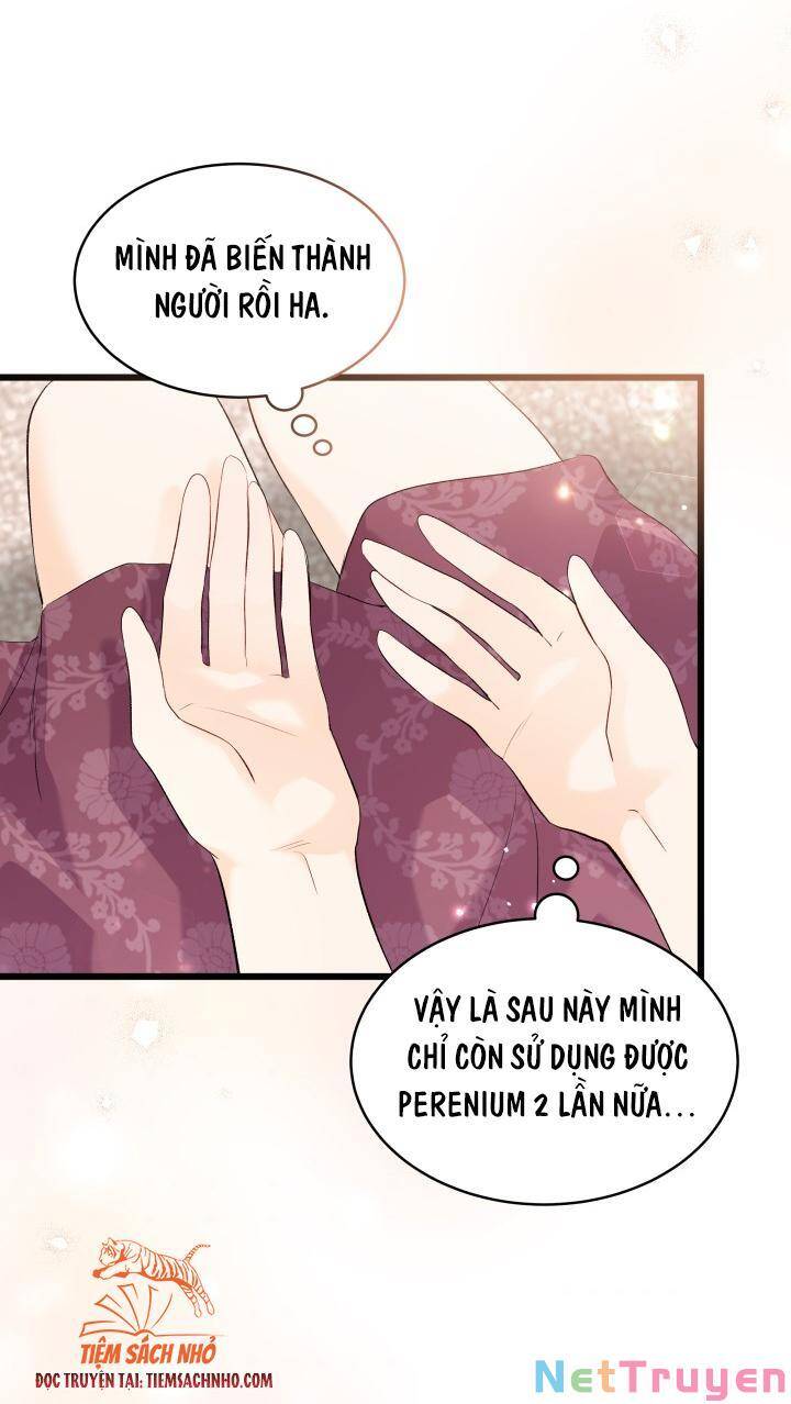Mối Quan Hệ Cộng Sinh Giữa Báo Đen Và Thỏ Trắng - Chap 63 - Trang 69