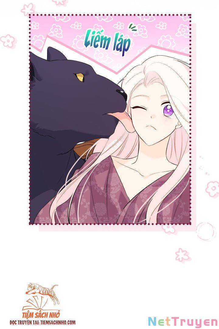 Mối Quan Hệ Cộng Sinh Giữa Báo Đen Và Thỏ Trắng - Chap 63 - Trang 72