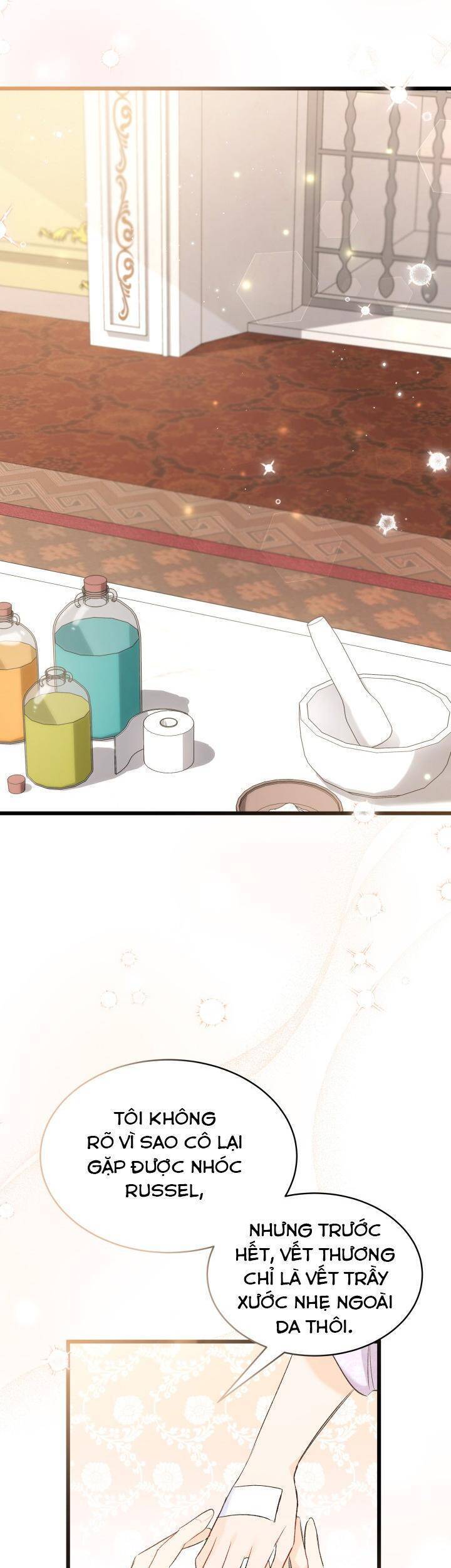 Mối Quan Hệ Cộng Sinh Giữa Báo Đen Và Thỏ Trắng - Chap 65 - Trang 8