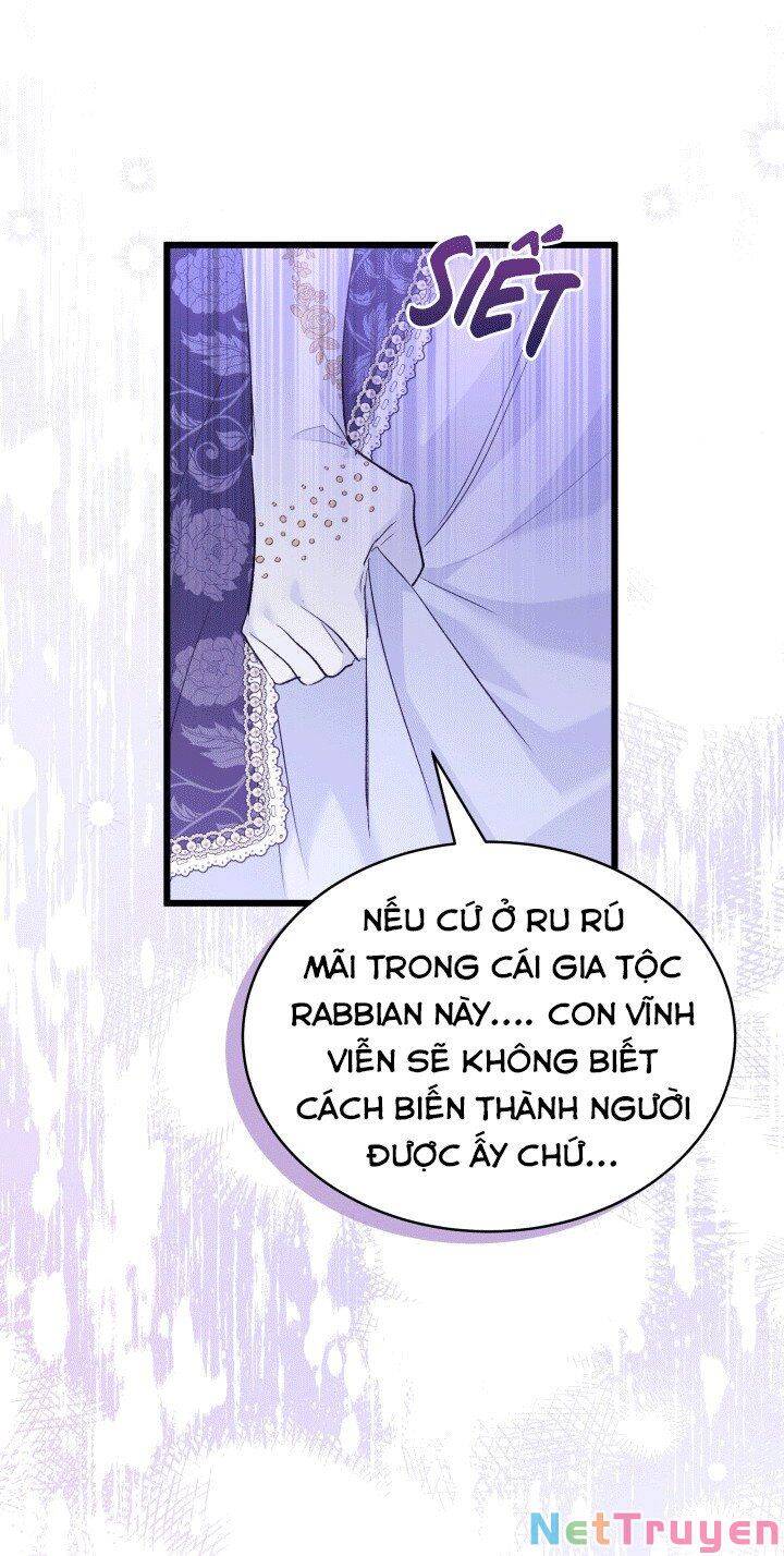 Mối Quan Hệ Cộng Sinh Giữa Báo Đen Và Thỏ Trắng - Chap 67 - Trang 50