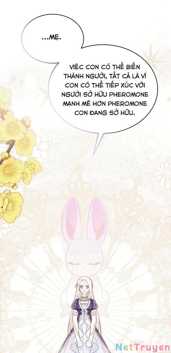 Mối Quan Hệ Cộng Sinh Giữa Báo Đen Và Thỏ Trắng - Chap 67 - Trang 52