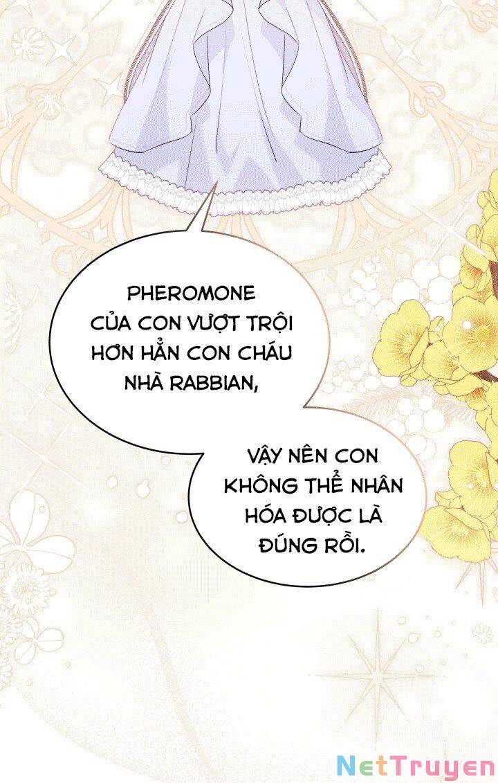Mối Quan Hệ Cộng Sinh Giữa Báo Đen Và Thỏ Trắng - Chap 67 - Trang 53