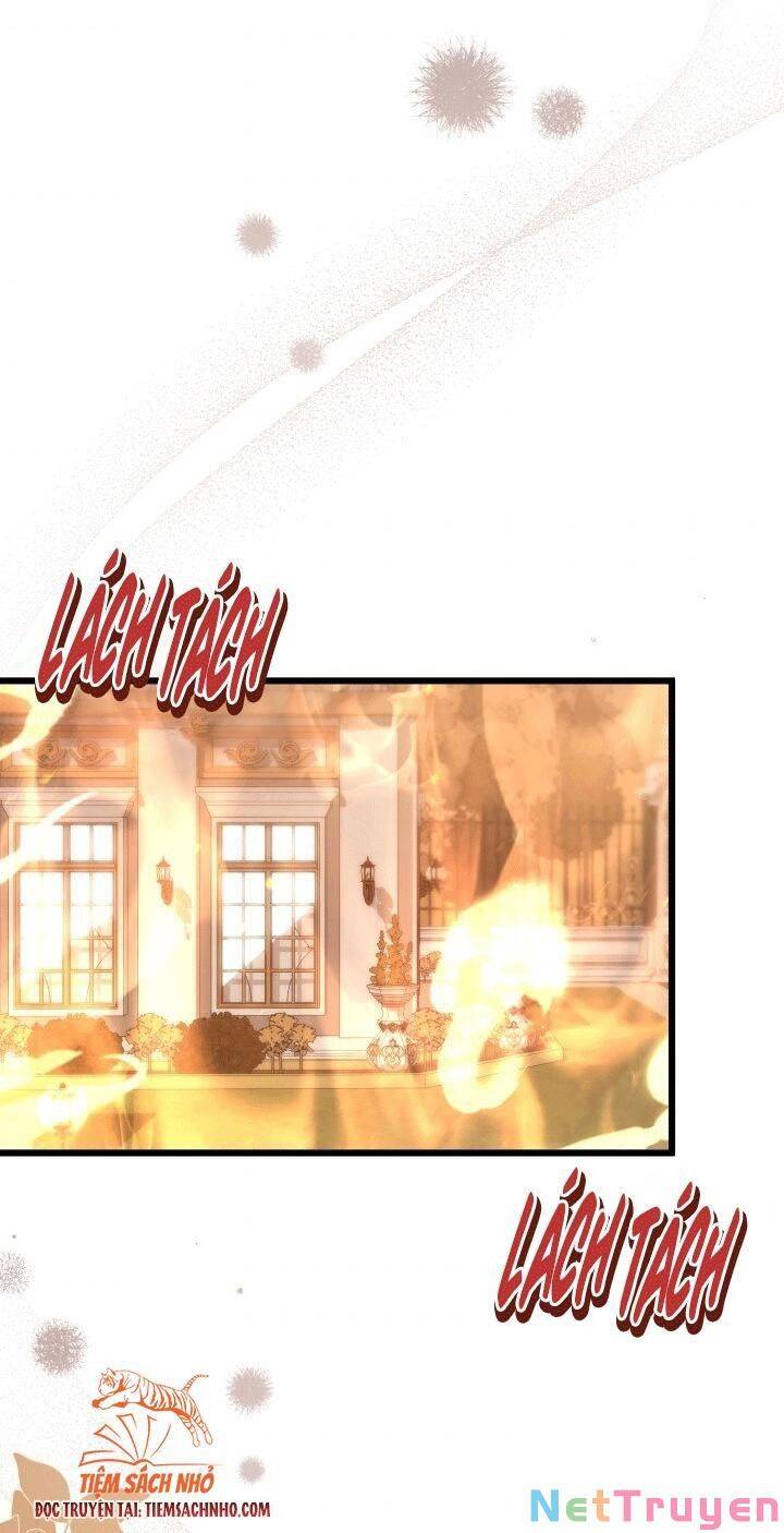 Mối Quan Hệ Cộng Sinh Giữa Báo Đen Và Thỏ Trắng - Chap 68 - Trang 4