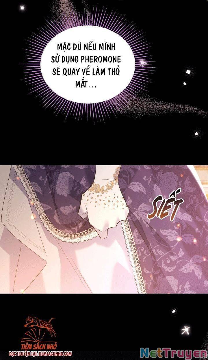Mối Quan Hệ Cộng Sinh Giữa Báo Đen Và Thỏ Trắng - Chap 68 - Trang 37