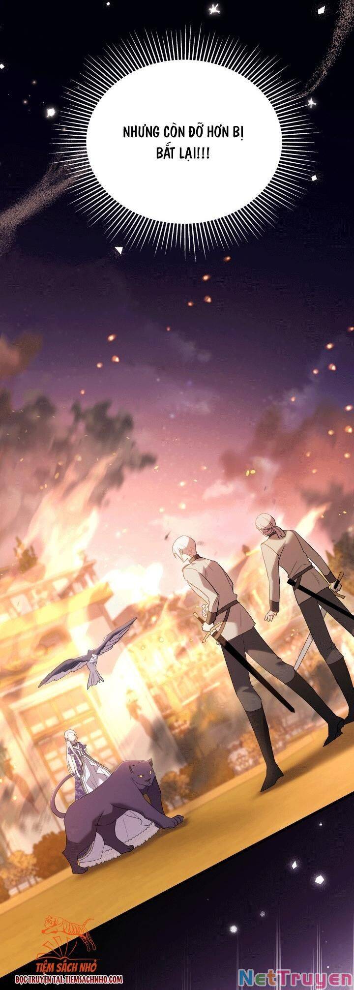 Mối Quan Hệ Cộng Sinh Giữa Báo Đen Và Thỏ Trắng - Chap 68 - Trang 38