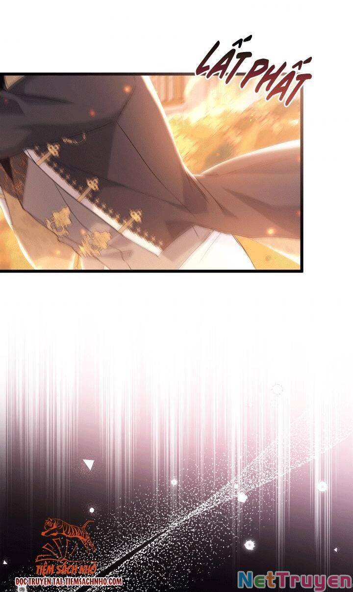 Mối Quan Hệ Cộng Sinh Giữa Báo Đen Và Thỏ Trắng - Chap 68 - Trang 41