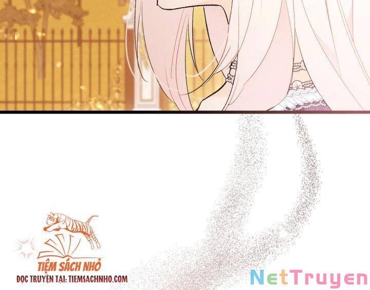 Mối Quan Hệ Cộng Sinh Giữa Báo Đen Và Thỏ Trắng - Chap 68 - Trang 66
