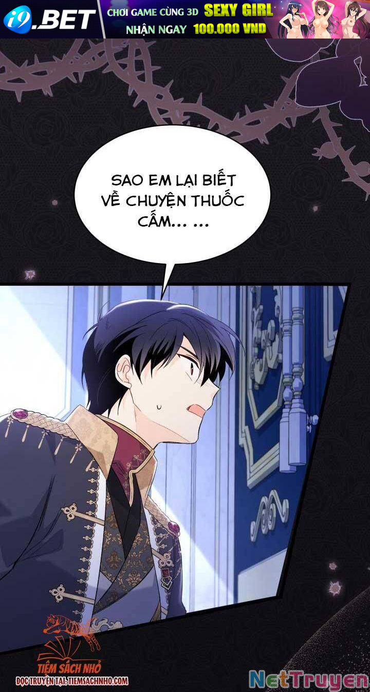 Mối Quan Hệ Cộng Sinh Giữa Báo Đen Và Thỏ Trắng - Chap 69 - Trang 24
