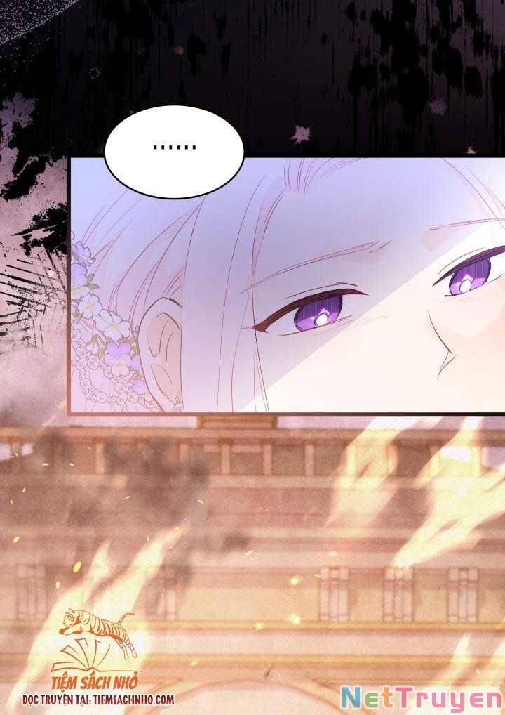 Mối Quan Hệ Cộng Sinh Giữa Báo Đen Và Thỏ Trắng - Chap 69 - Trang 28