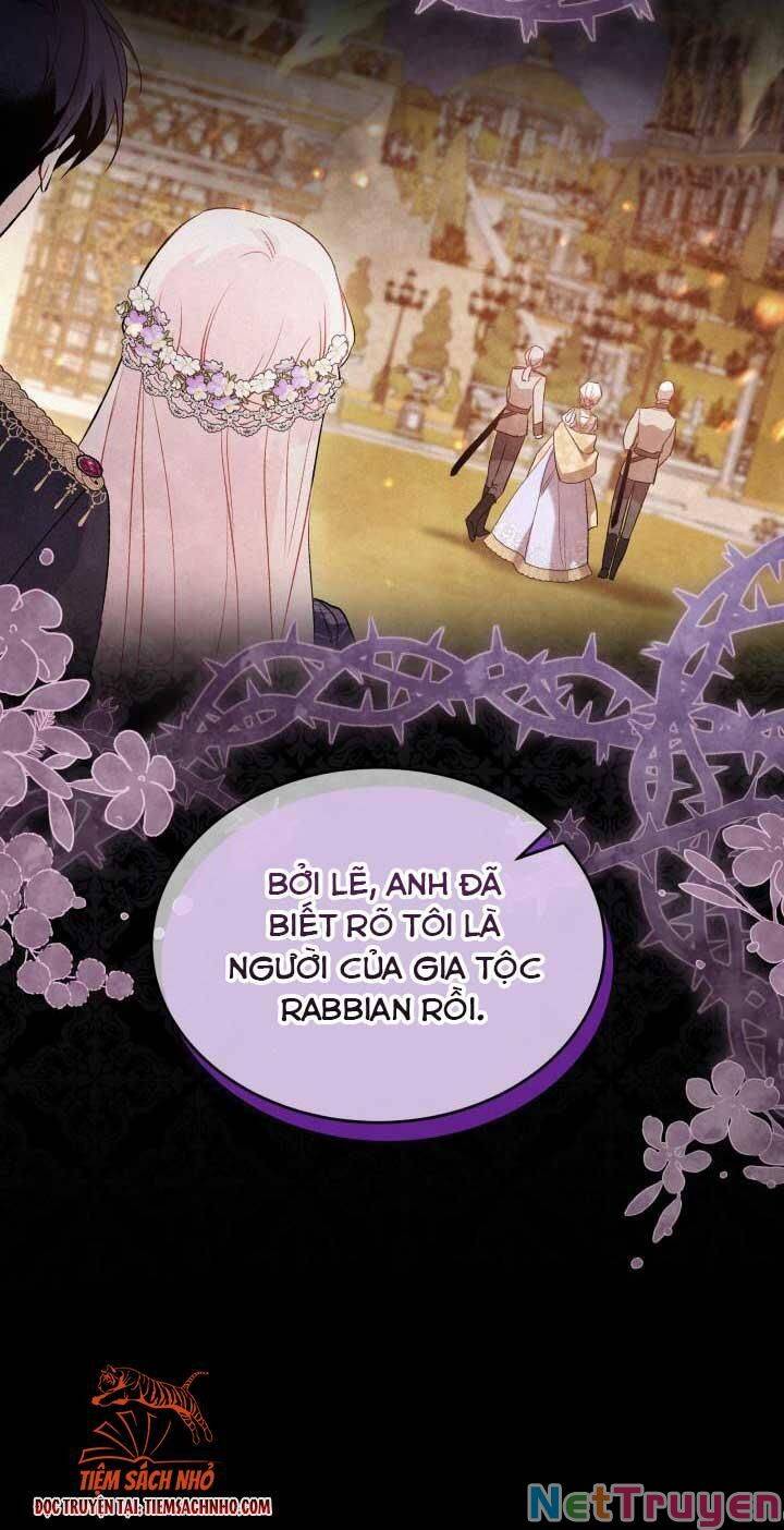 Mối Quan Hệ Cộng Sinh Giữa Báo Đen Và Thỏ Trắng - Chap 69 - Trang 31