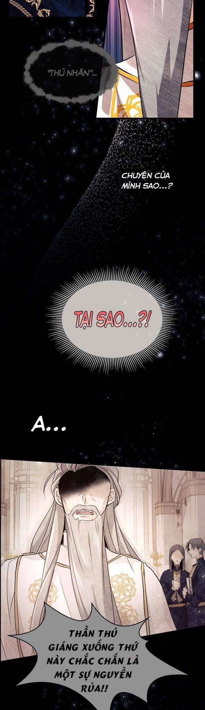Mối Quan Hệ Cộng Sinh Giữa Báo Đen Và Thỏ Trắng - Chap 7 - Trang 16