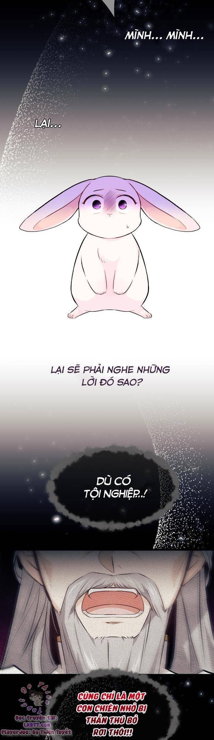Mối Quan Hệ Cộng Sinh Giữa Báo Đen Và Thỏ Trắng - Chap 7 - Trang 17