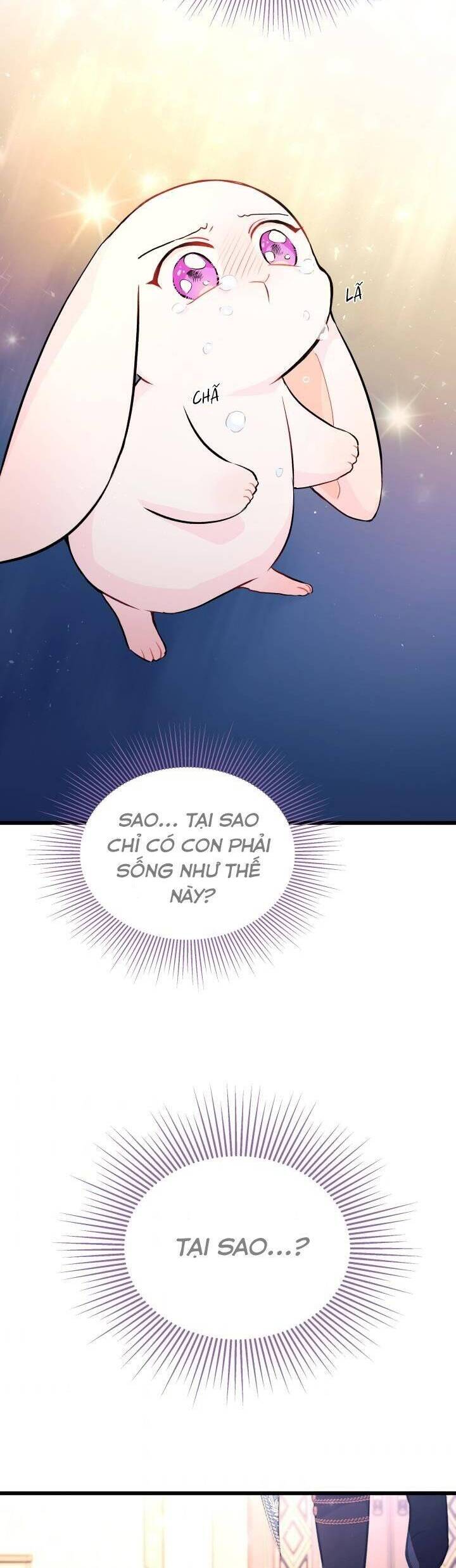 Mối Quan Hệ Cộng Sinh Giữa Báo Đen Và Thỏ Trắng - Chap 7 - Trang 24