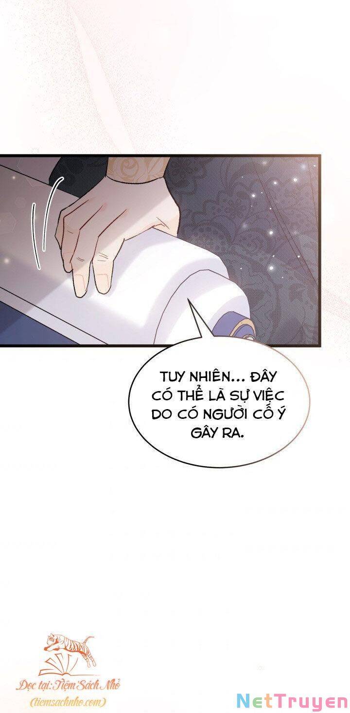 Mối Quan Hệ Cộng Sinh Giữa Báo Đen Và Thỏ Trắng - Chap 71 - Trang 74