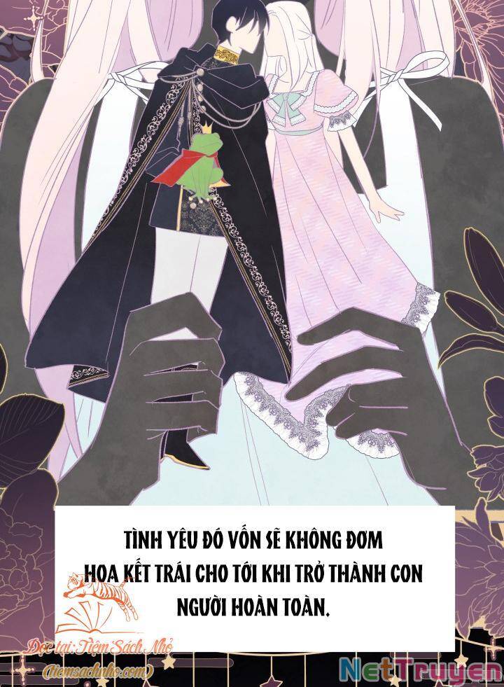 Mối Quan Hệ Cộng Sinh Giữa Báo Đen Và Thỏ Trắng - Chap 72 - Trang 21