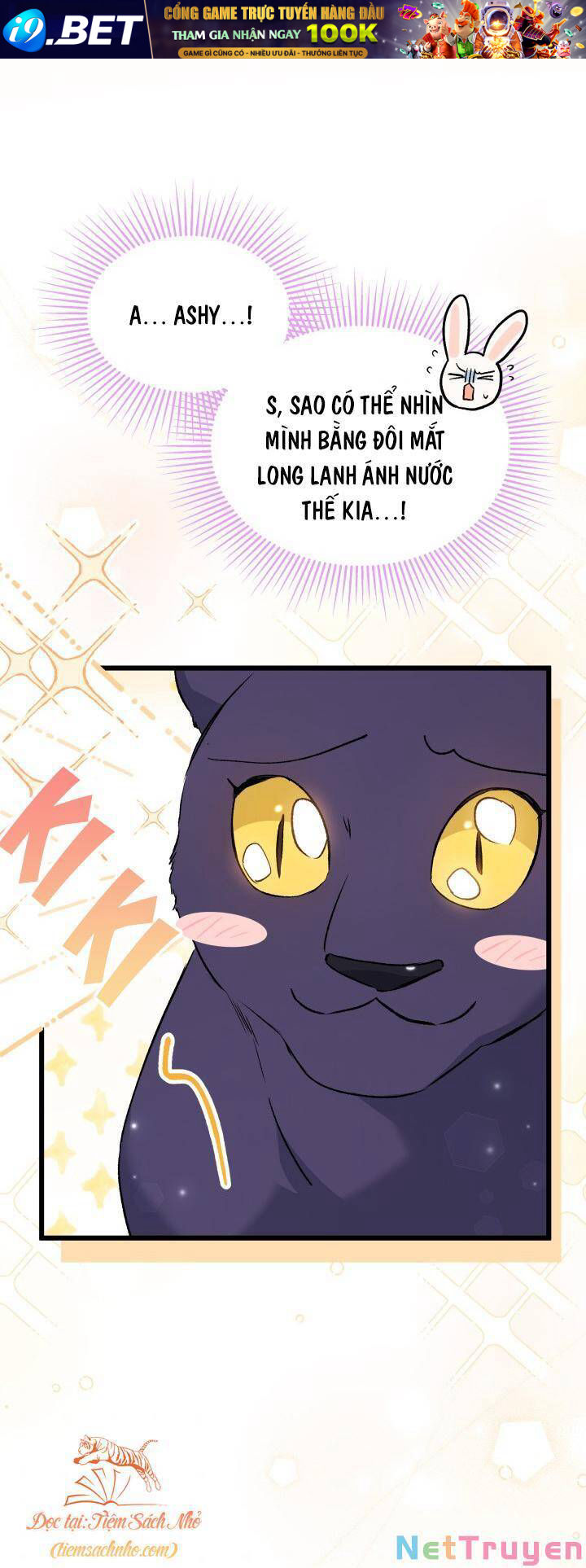 Mối Quan Hệ Cộng Sinh Giữa Báo Đen Và Thỏ Trắng - Chap 72 - Trang 50