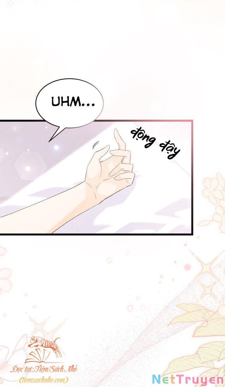 Mối Quan Hệ Cộng Sinh Giữa Báo Đen Và Thỏ Trắng - Chap 72 - Trang 6