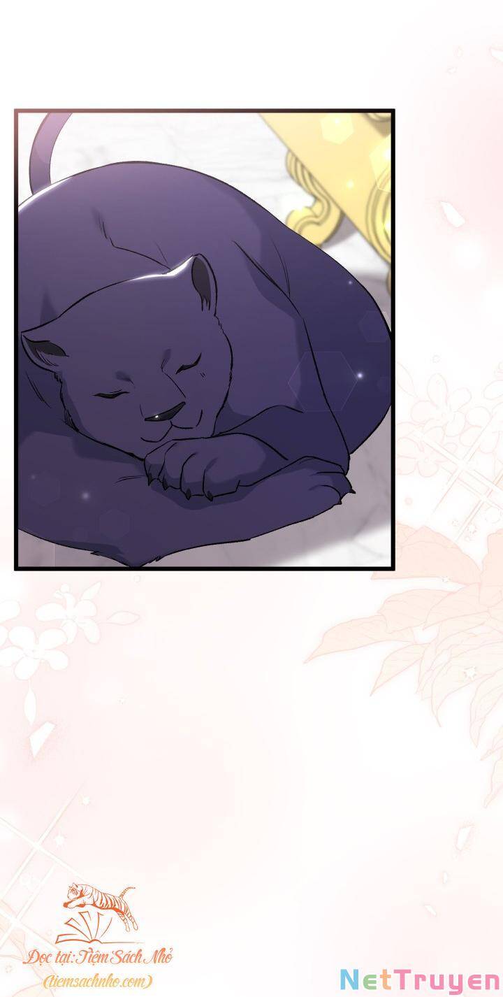 Mối Quan Hệ Cộng Sinh Giữa Báo Đen Và Thỏ Trắng - Chap 72 - Trang 60