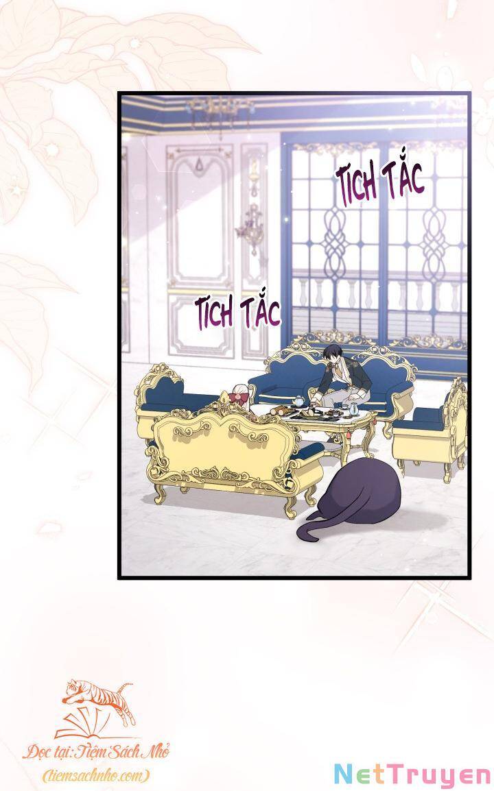 Mối Quan Hệ Cộng Sinh Giữa Báo Đen Và Thỏ Trắng - Chap 72 - Trang 61