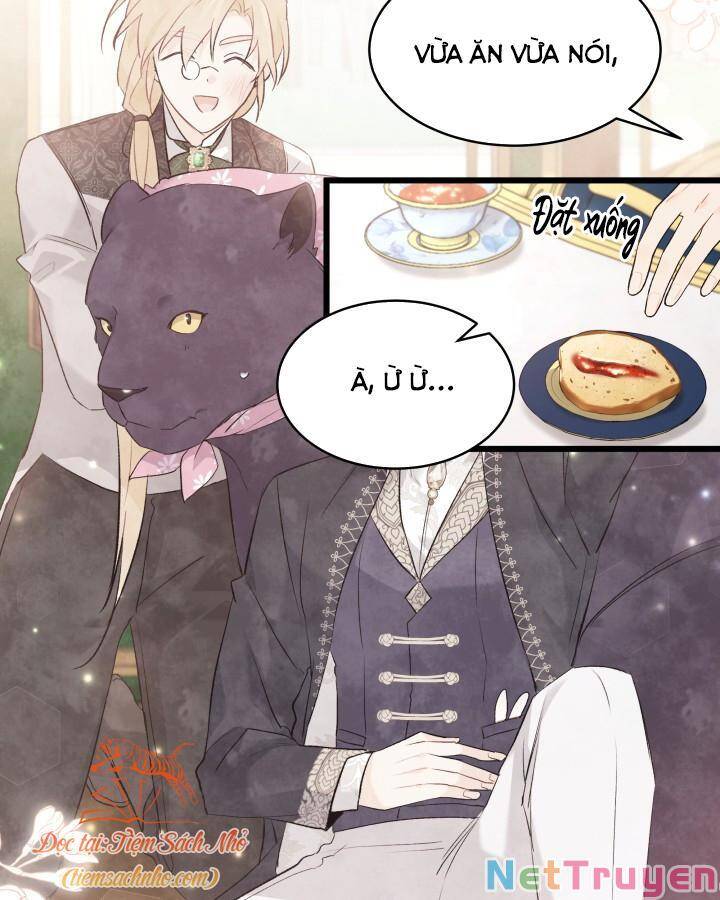 Mối Quan Hệ Cộng Sinh Giữa Báo Đen Và Thỏ Trắng - Chap 72 - Trang 68