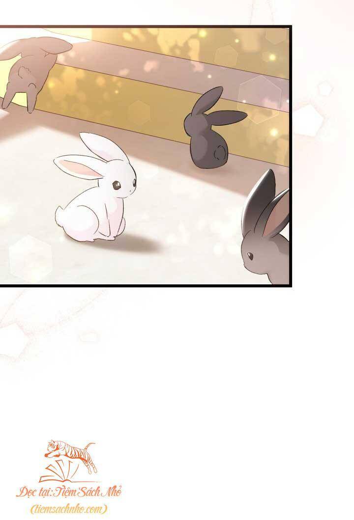Mối Quan Hệ Cộng Sinh Giữa Báo Đen Và Thỏ Trắng - Chap 75 - Trang 40