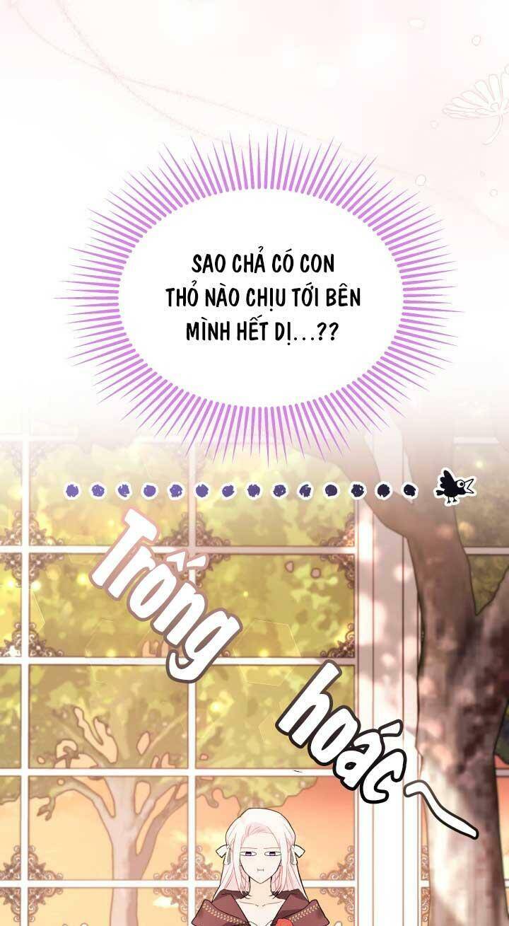 Mối Quan Hệ Cộng Sinh Giữa Báo Đen Và Thỏ Trắng - Chap 75 - Trang 44