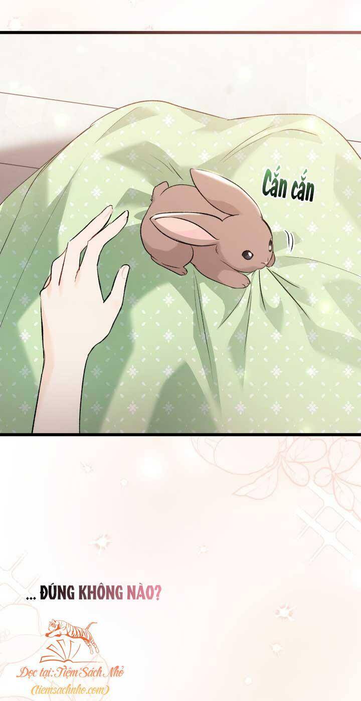Mối Quan Hệ Cộng Sinh Giữa Báo Đen Và Thỏ Trắng - Chap 75 - Trang 82
