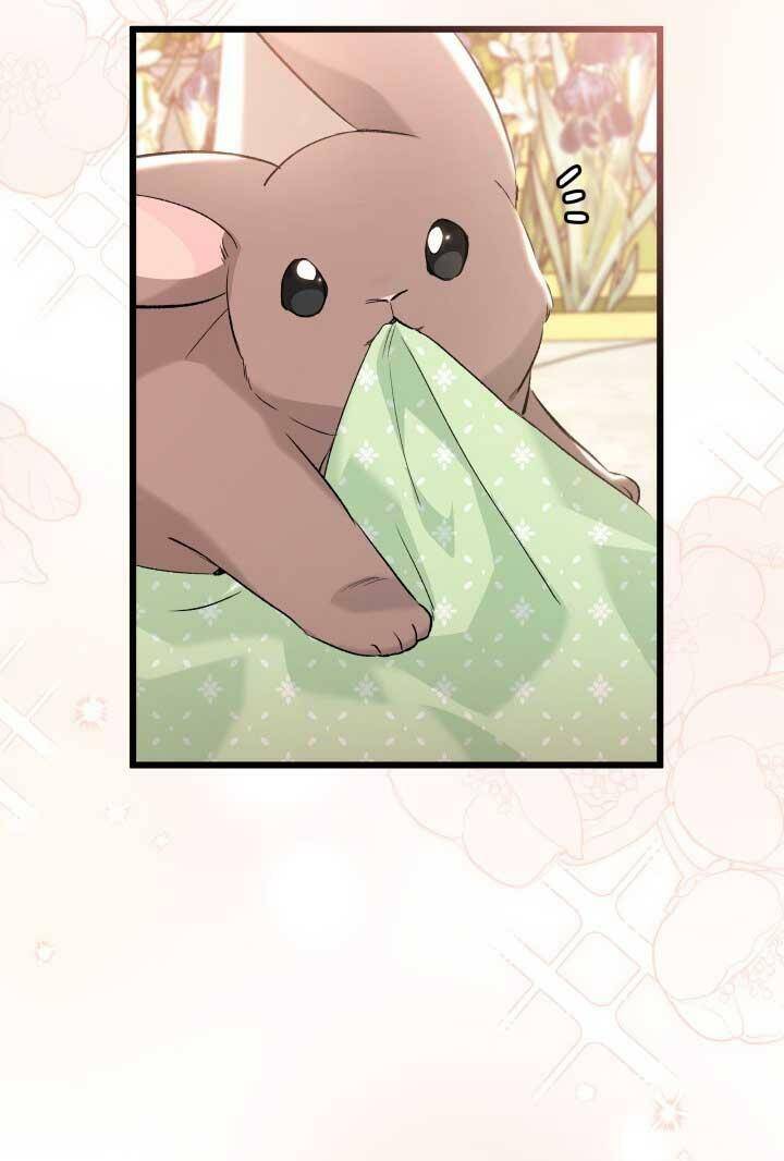 Mối Quan Hệ Cộng Sinh Giữa Báo Đen Và Thỏ Trắng - Chap 75 - Trang 83