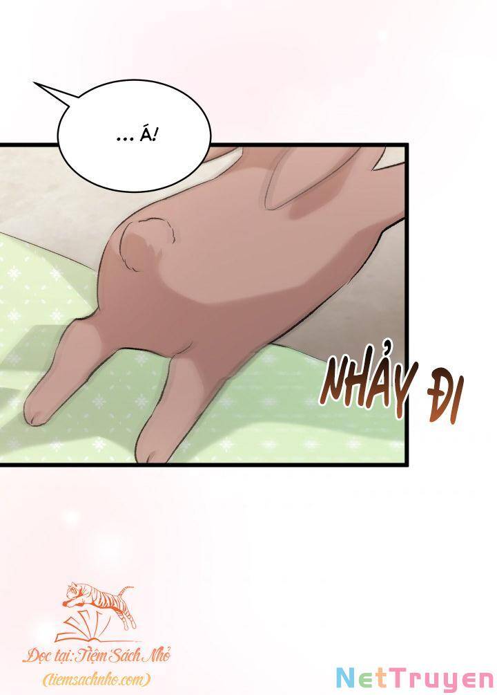 Mối Quan Hệ Cộng Sinh Giữa Báo Đen Và Thỏ Trắng - Chap 76 - Trang 22