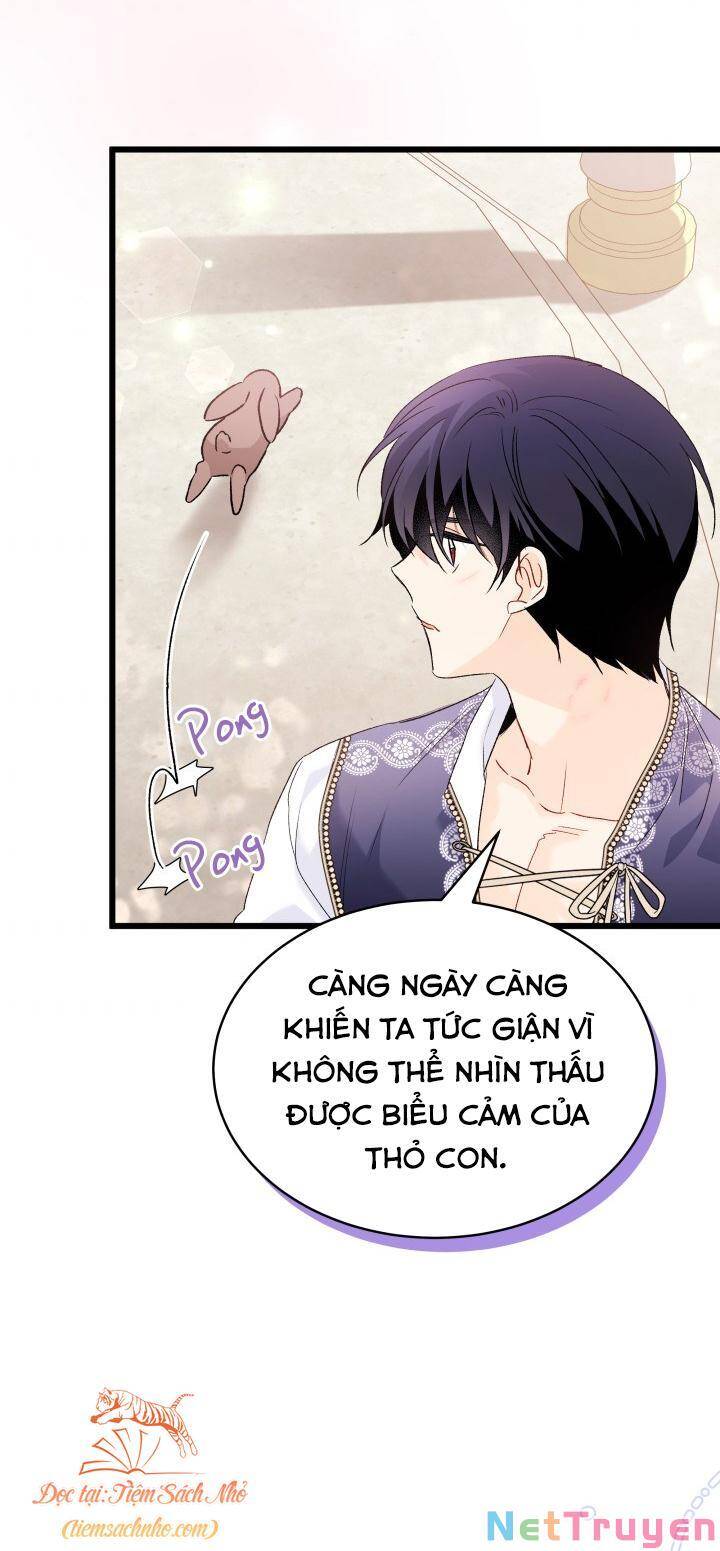 Mối Quan Hệ Cộng Sinh Giữa Báo Đen Và Thỏ Trắng - Chap 76 - Trang 23