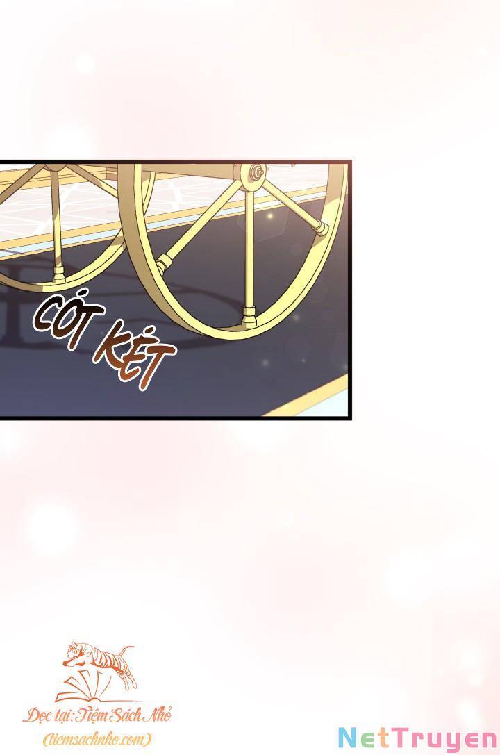 Mối Quan Hệ Cộng Sinh Giữa Báo Đen Và Thỏ Trắng - Chap 76 - Trang 50