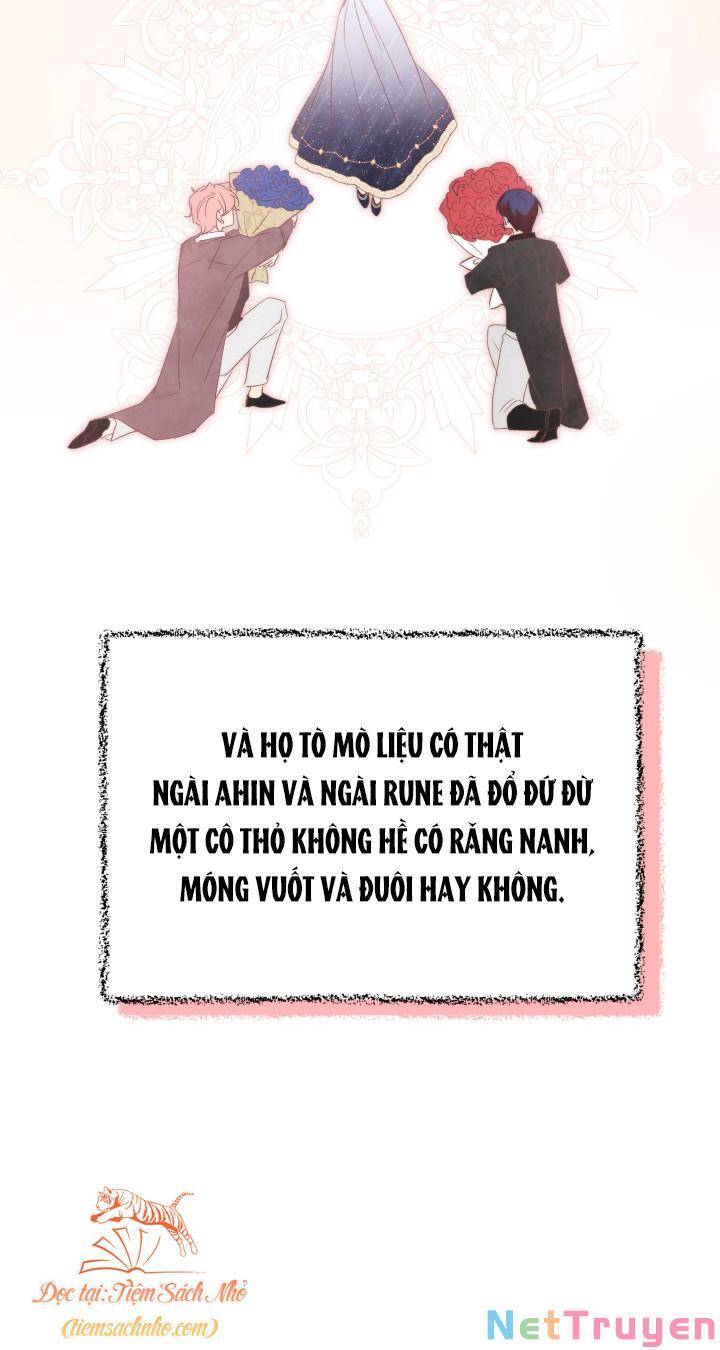 Mối Quan Hệ Cộng Sinh Giữa Báo Đen Và Thỏ Trắng - Chap 76 - Trang 58