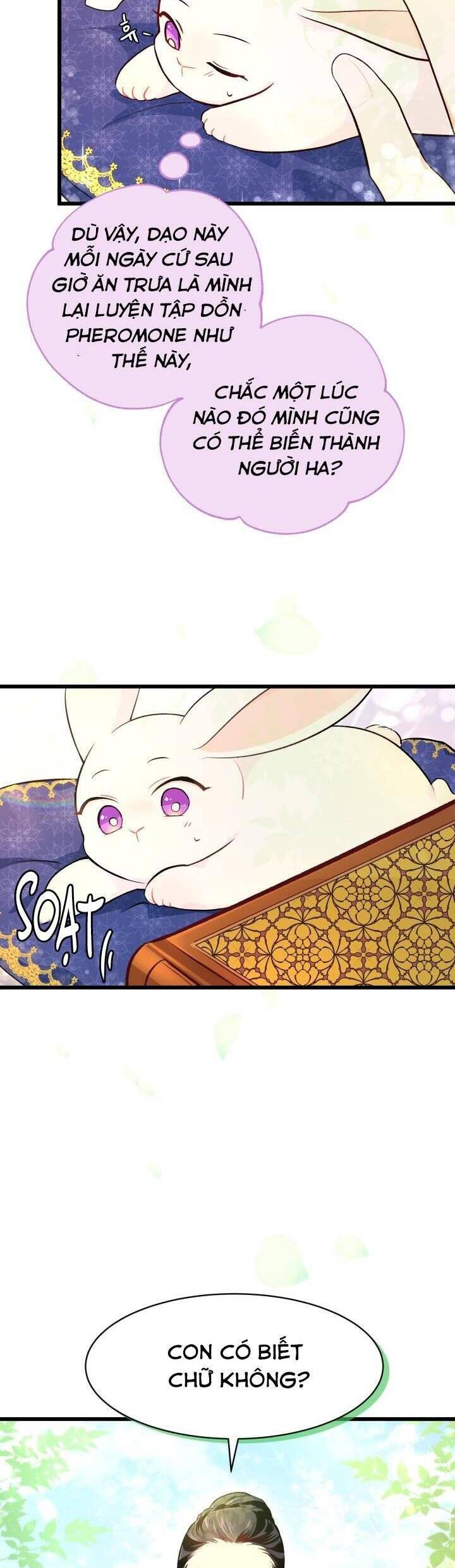 Mối Quan Hệ Cộng Sinh Giữa Báo Đen Và Thỏ Trắng - Chap 8 - Trang 11
