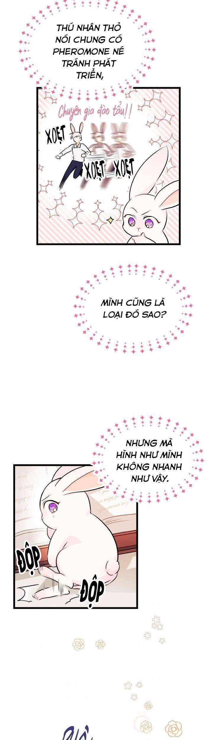Mối Quan Hệ Cộng Sinh Giữa Báo Đen Và Thỏ Trắng - Chap 8 - Trang 18
