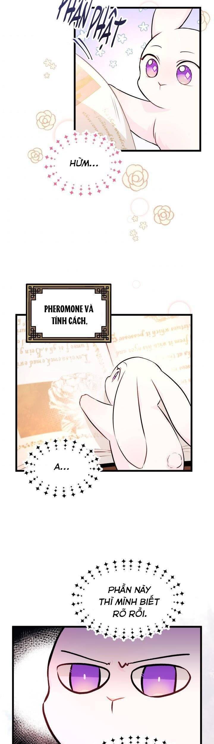 Mối Quan Hệ Cộng Sinh Giữa Báo Đen Và Thỏ Trắng - Chap 8 - Trang 19