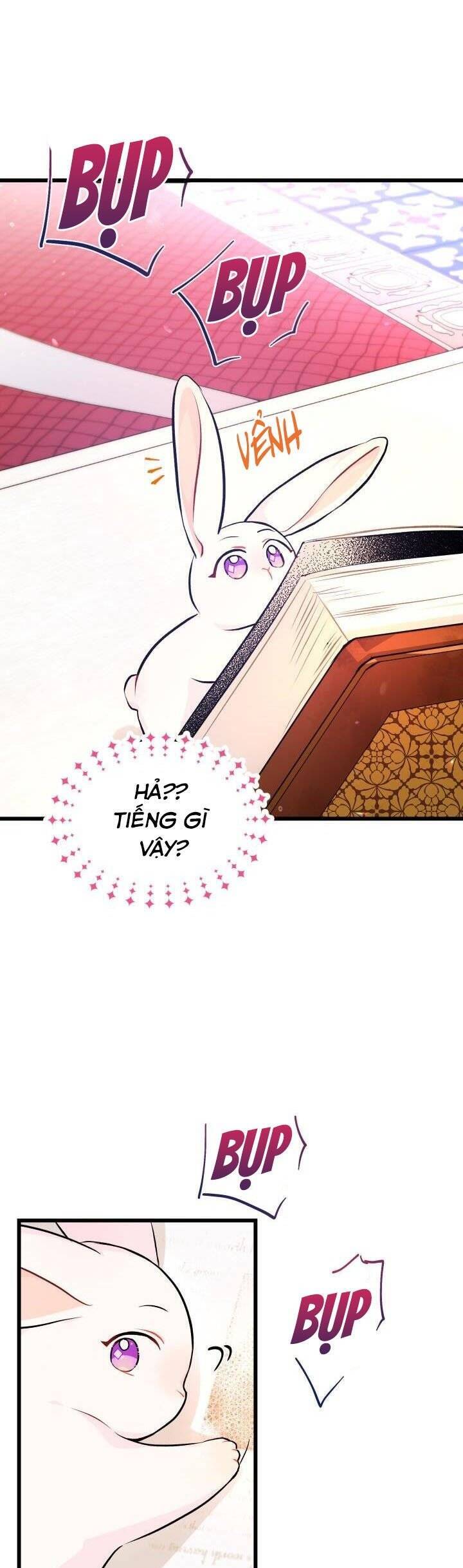 Mối Quan Hệ Cộng Sinh Giữa Báo Đen Và Thỏ Trắng - Chap 8 - Trang 21