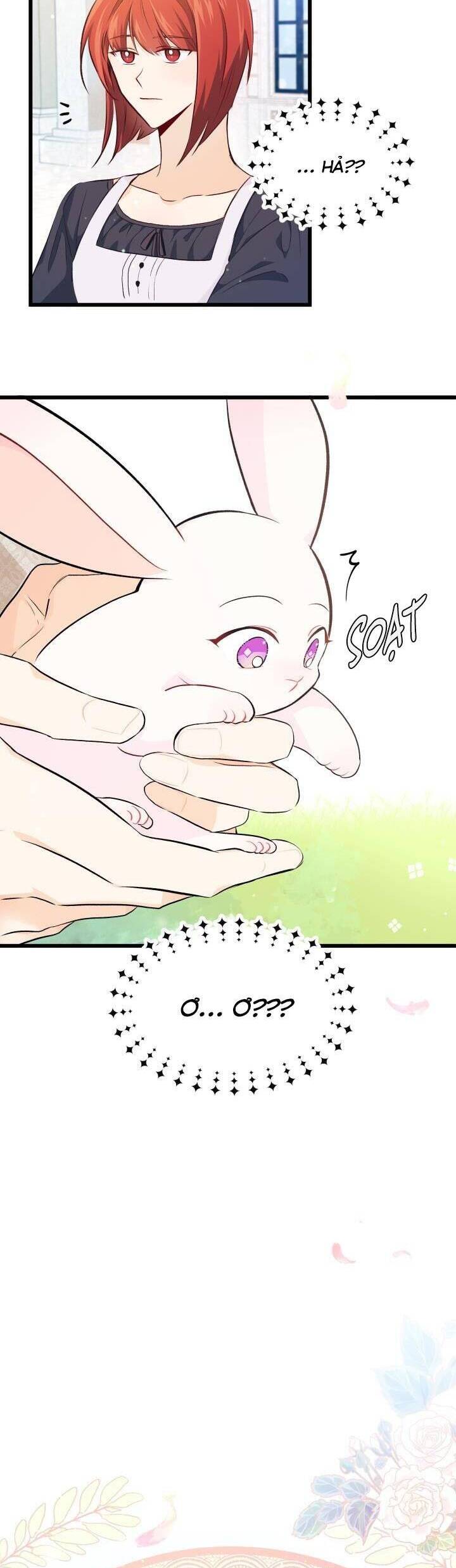 Mối Quan Hệ Cộng Sinh Giữa Báo Đen Và Thỏ Trắng - Chap 8 - Trang 31