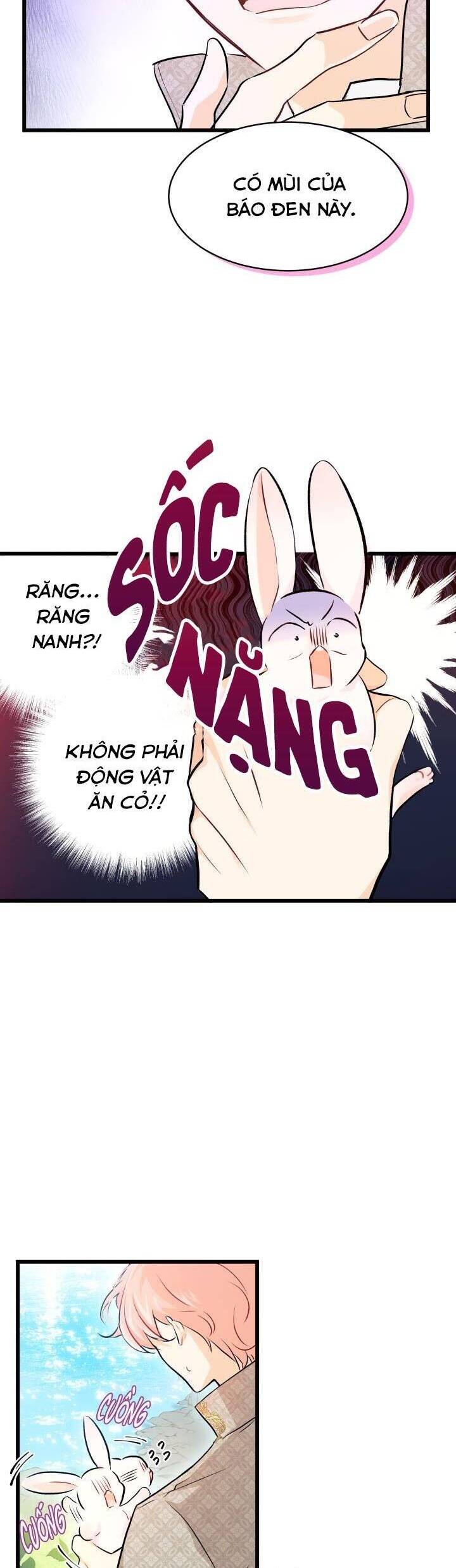 Mối Quan Hệ Cộng Sinh Giữa Báo Đen Và Thỏ Trắng - Chap 8 - Trang 35