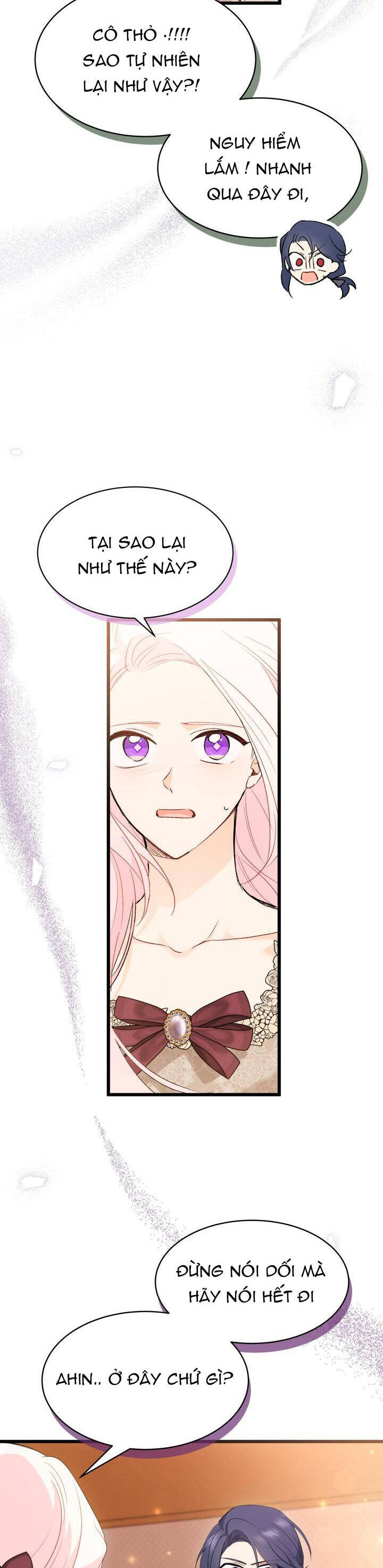 Mối Quan Hệ Cộng Sinh Giữa Báo Đen Và Thỏ Trắng - Chap 80 - Trang 25