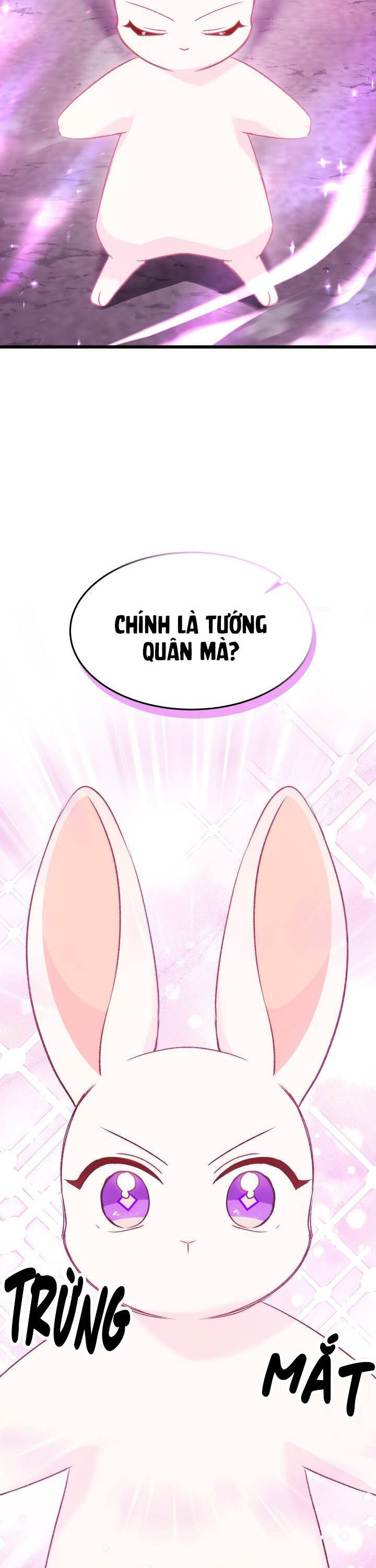 Mối Quan Hệ Cộng Sinh Giữa Báo Đen Và Thỏ Trắng - Chap 82 - Trang 34