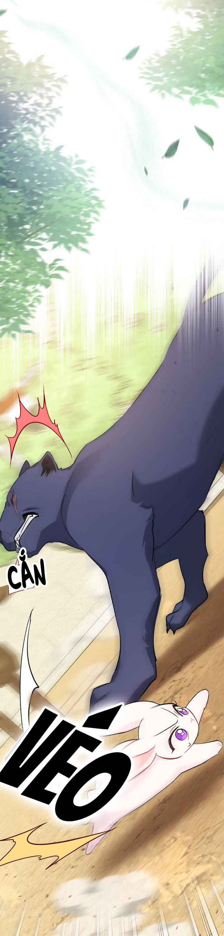 Mối Quan Hệ Cộng Sinh Giữa Báo Đen Và Thỏ Trắng - Chap 82 - Trang 37