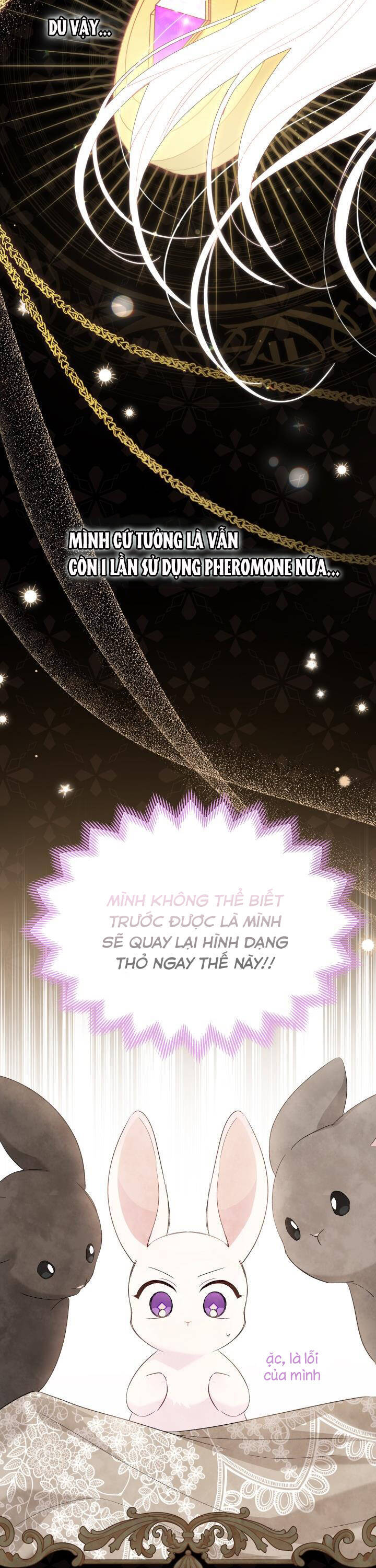 Mối Quan Hệ Cộng Sinh Giữa Báo Đen Và Thỏ Trắng - Chap 82 - Trang 6