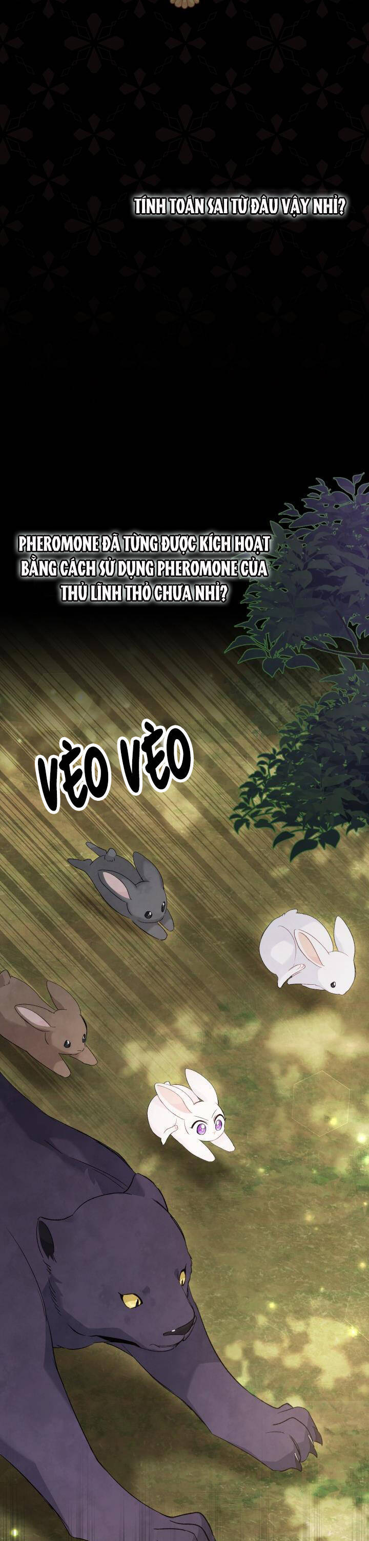 Mối Quan Hệ Cộng Sinh Giữa Báo Đen Và Thỏ Trắng - Chap 82 - Trang 7