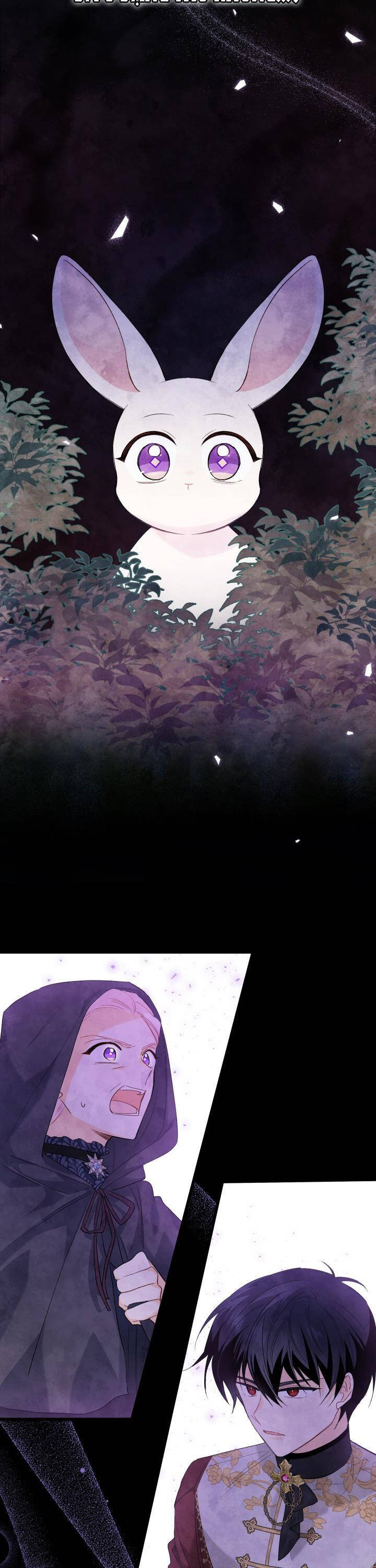 Mối Quan Hệ Cộng Sinh Giữa Báo Đen Và Thỏ Trắng - Chap 82 - Trang 9
