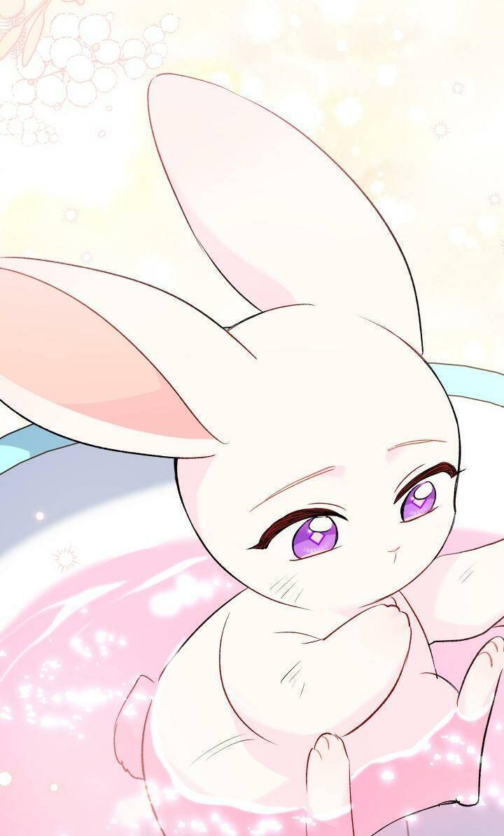 Mối Quan Hệ Cộng Sinh Giữa Báo Đen Và Thỏ Trắng - Chap 84 - Trang 28