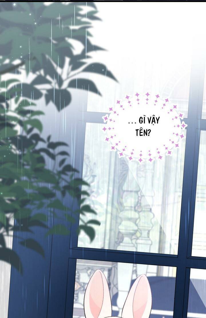 Mối Quan Hệ Cộng Sinh Giữa Báo Đen Và Thỏ Trắng - Chap 84 - Trang 70