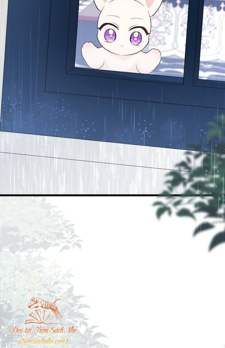 Mối Quan Hệ Cộng Sinh Giữa Báo Đen Và Thỏ Trắng - Chap 84 - Trang 71