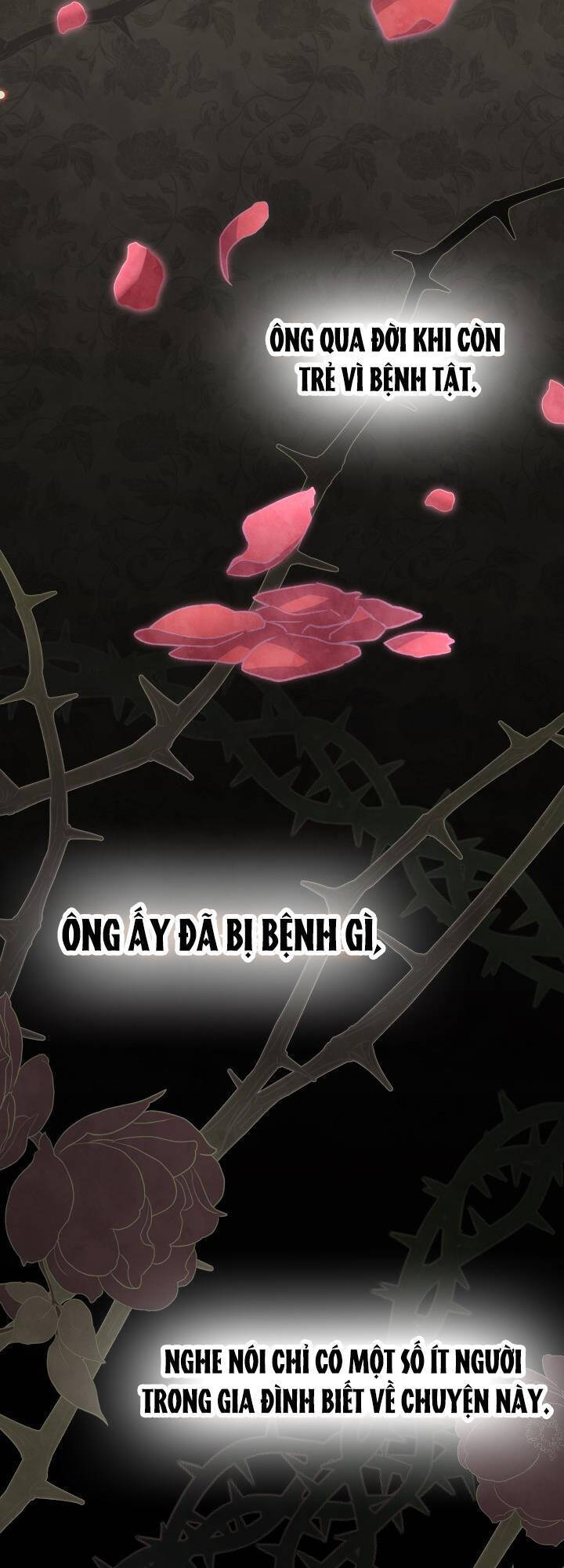Mối Quan Hệ Cộng Sinh Giữa Báo Đen Và Thỏ Trắng - Chap 85 - Trang 4