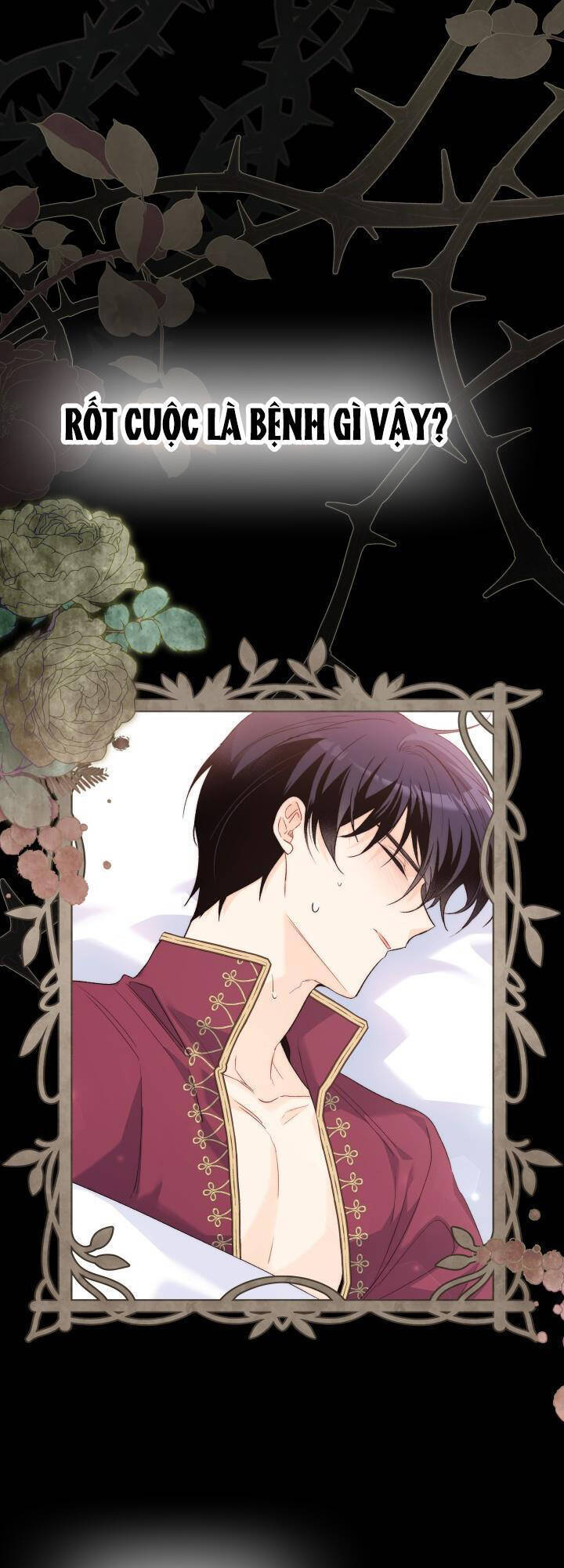 Mối Quan Hệ Cộng Sinh Giữa Báo Đen Và Thỏ Trắng - Chap 85 - Trang 5